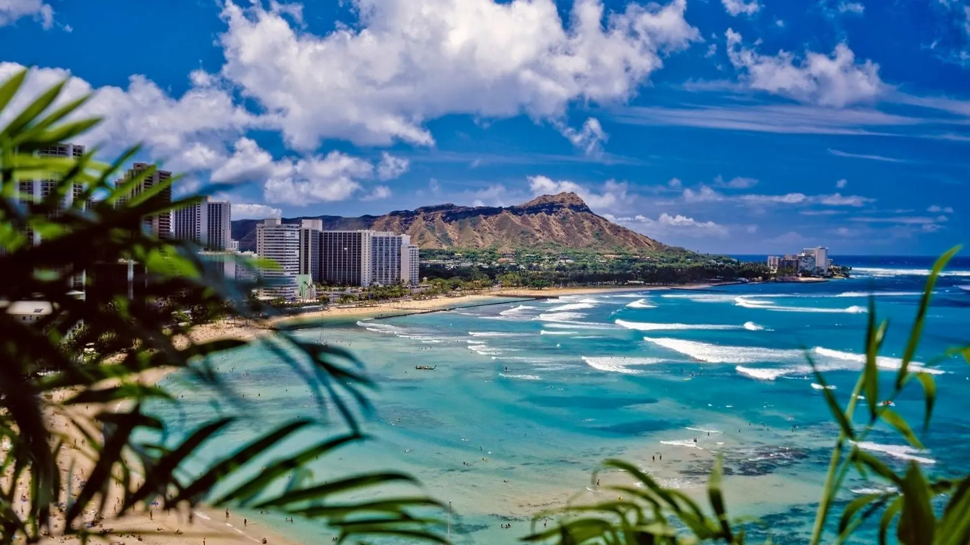 דירות הונולולו Charming 1Br: Waikiki Banyan, Ocean View + Parking